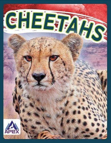 Cheetahs (Wild Cats)