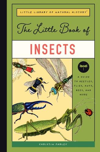 The Little Book of Insects: A Guide to Beetles, Flies, Ants, Bees, and More: 2 (Little Library of Natural History)