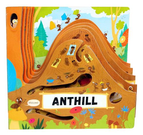 Anthill (Peek Inside)