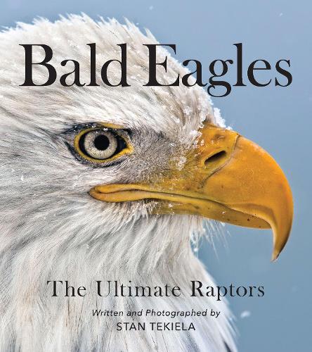 Bald Eagles: The Ultimate Raptors (Favorite Wildlife)