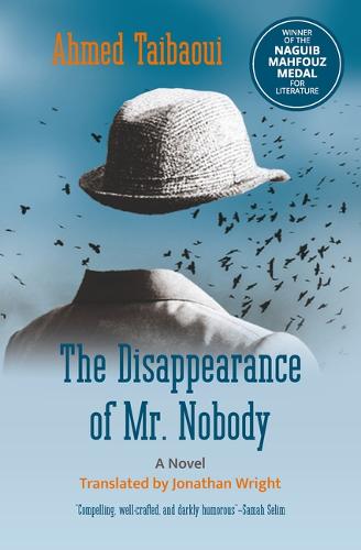 The Disappearance of Mr. Nobody (Hoopoe Fiction)