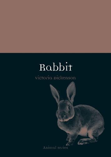 Rabbit (Animal)