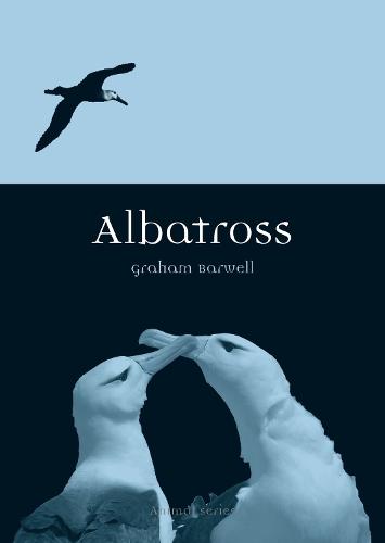 Albatross (Animal)
