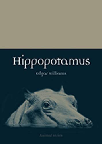 Hippopotamus (Animal)