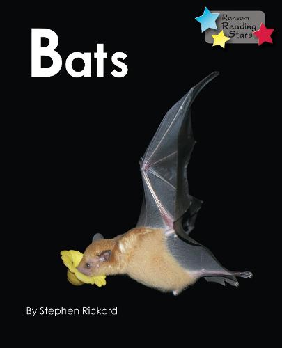 Bats (Reading Stars)