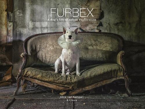 Furbex: A Dog s Life of Urban Exploration