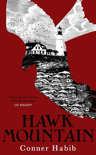 Hawk Mountain: A highly suspenseful and unsettling literary thriller