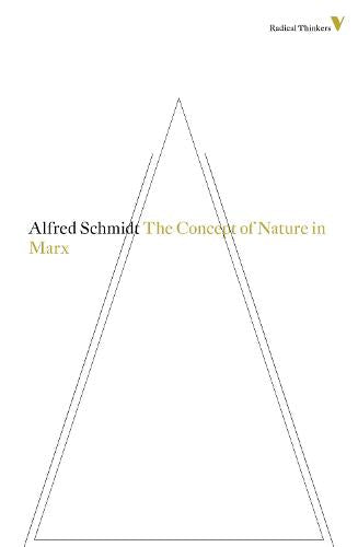 The Concept of Nature in Marx (Radical Thinkers)