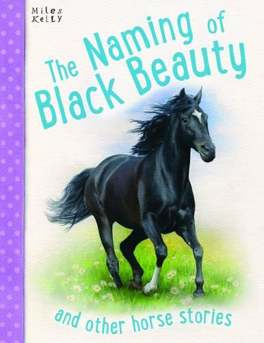 Horse Stories The Naming of Black Beauty and other stories