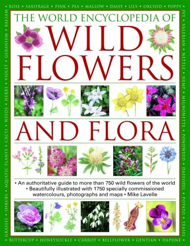 Wild Flowers & Flora, The World Encyclopedia of: An authoritative guide to more than 750 wild flowers of the world, beautifully illustrated with more ... watercolours, photographs and maps