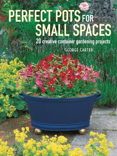 Perfect Pots for Small Spaces