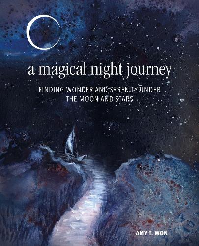 A Magical Night Journey: Finding wonder and serenity under the moon and stars