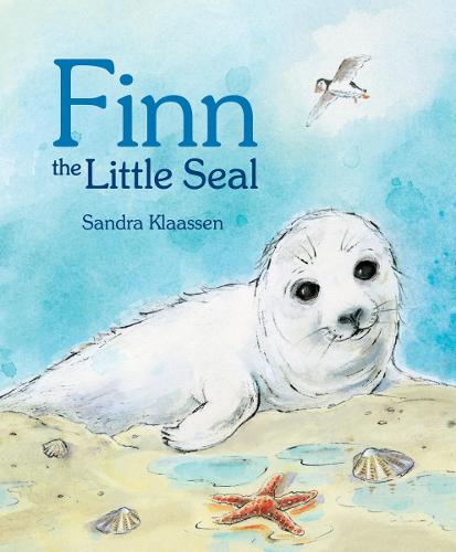 Finn the Little Seal