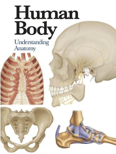 Human Body: Understanding Anatomy (Mini Encyclopedia) (Mini Encylopedia)