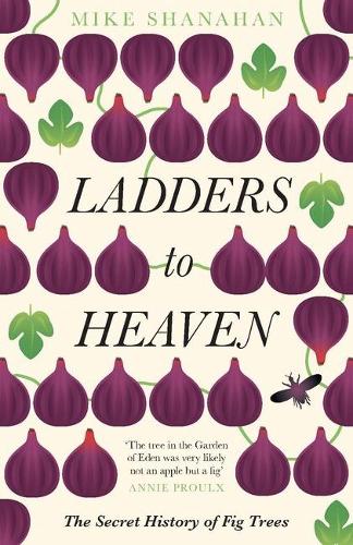 Ladders to Heaven