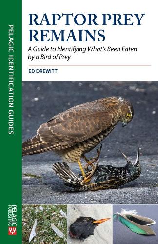 Raptor Prey Remains: A Guide to Identifying What's Been Eaten by a Bird of Prey (Pelagic Identification Guides): Guide Identifying