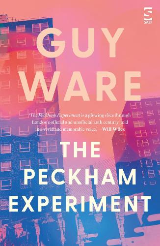The Peckham Experiment (Salt Modern Fiction)