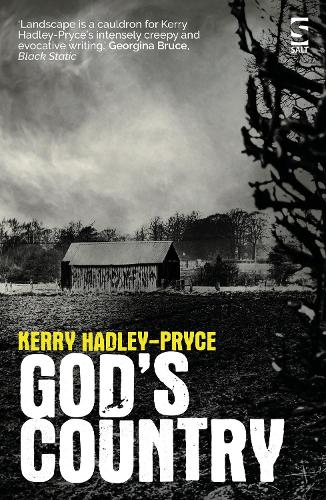 God�s Country (Salt Modern Fiction)