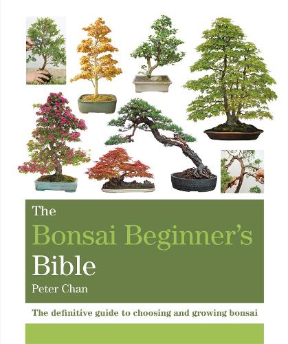 The Bonsai Beginner's Bible: The definitive guide to choosing and growing bonsai (Octopus Bible Series)