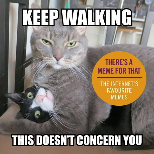 Keep Walking, This Doesn't Concern You: The Internet's Favourite Memes (Humour)