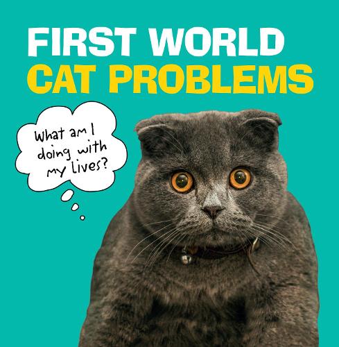 First World Cat Problems: What am I doing with my lives? (Humour)