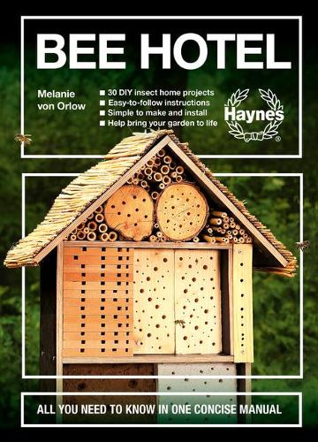 Bee Hotel (Concise)