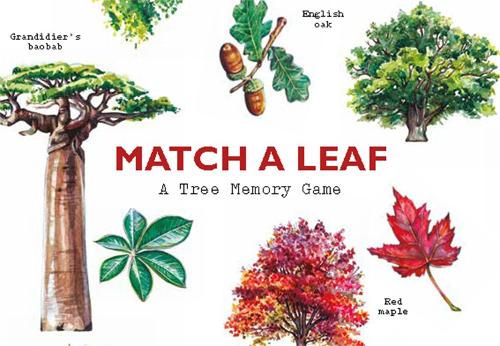 Match a Leaf: A Tree Memory Game (Games)