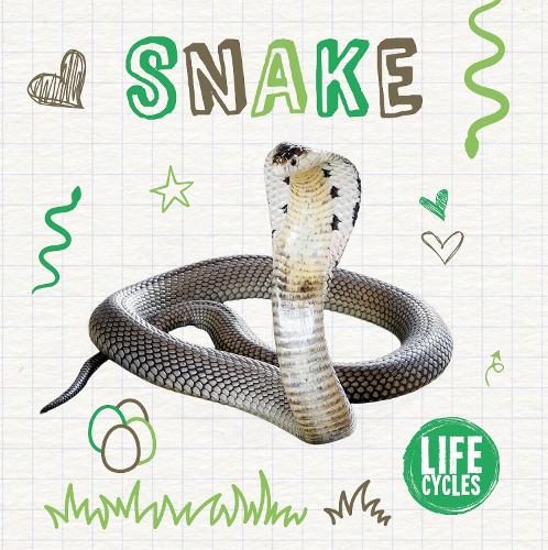 Snake (Life Cycles)