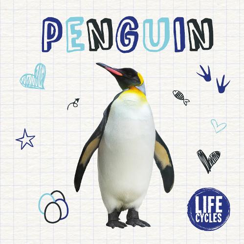 Penguin (Life Cycles)
