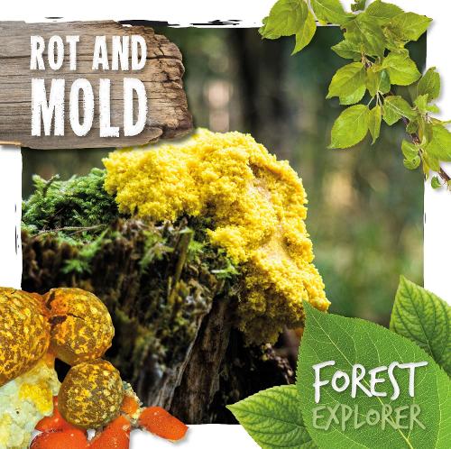 Rot & Mould (Forest Explorer)