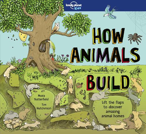 How Animals Build (Lonely Planet Kids)