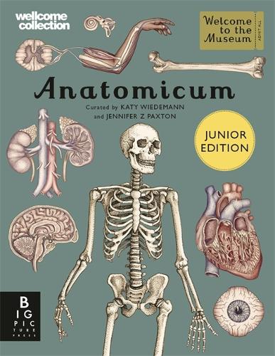 Anatomicum Junior (Welcome To The Museum)