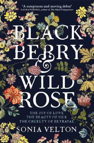 Blackberry and Wild Rose: A richly imagined, evocative and moving summer holiday read
