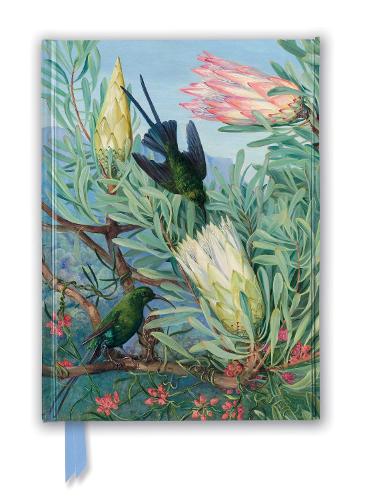 Kew Gardens' Marianne North: Honeyflowers and Honeysuckers (Foiled Journal) (Flame Tree Notebooks)