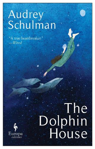 The Dolphin House: A moving novel on connection and community