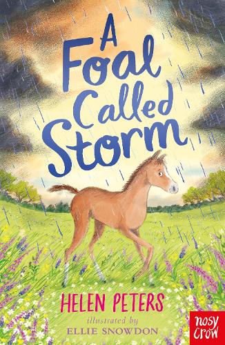 A Foal Called Storm (The Jasmine Green Series, 11)
