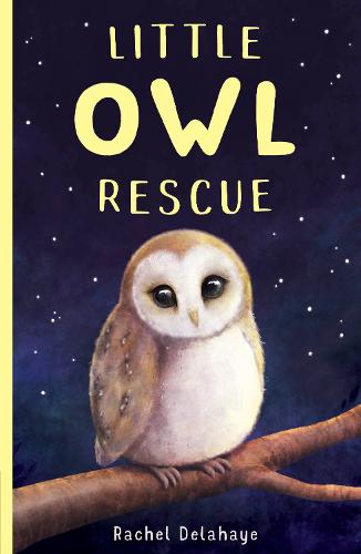 Little Owl Rescue (Little Animal Rescue (5))
