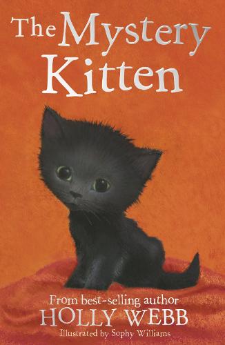 The Mystery Kitten: 44 (Holly Webb Animal Stories)