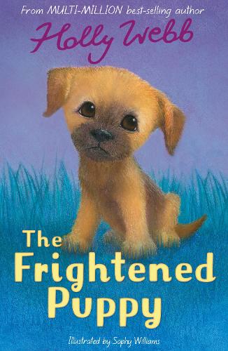 The Frightened Puppy: 52 (Holly Webb Animal Stories, 52)