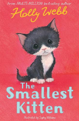 The Smallest Kitten: 53 (Holly Webb Animal Stories, 53)