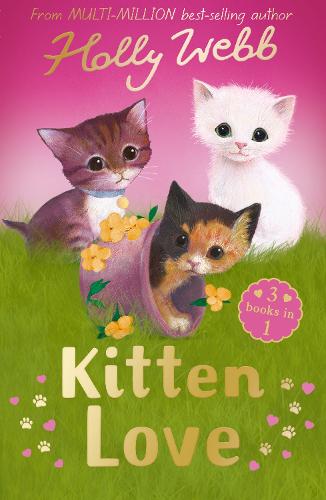 Kitten Love: A Collection of Stories: Lost in the Storm, The Curious Kitten and The Homeless Kitten (Holly Webb Animal Stories)