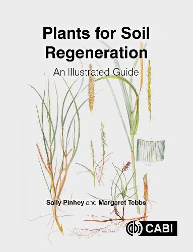 Plants for Soil Regeneration: An Illustrated Guide
