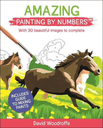 Amazing Painting by Numbers: With 30 Beautiful Images to Complete. Includes Guide to Mixing Paints (Arcturus Painting by Numbers)