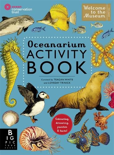 Oceanarium Activity (Welcome To The Museum)