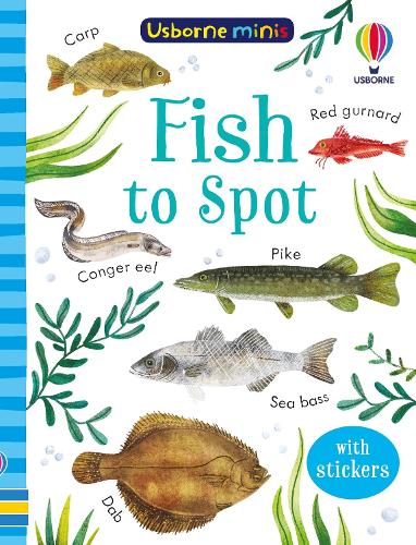 Fish to Spot (Usborne Minis)