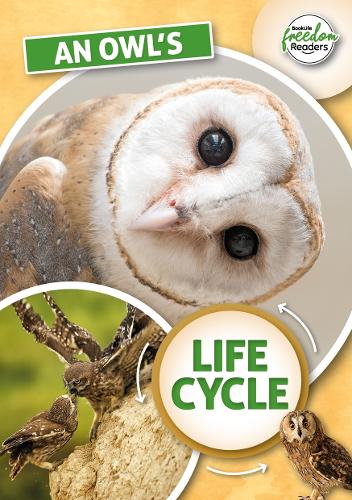 An Owl's Life Cycle (BookLife Freedom Readers)