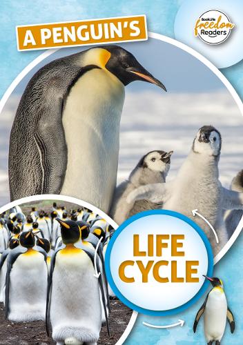 A Penguin's Life Cycle (BookLife Freedom Readers)
