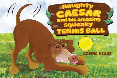 Naughty Caesar and his amazing squeaky tennis ball