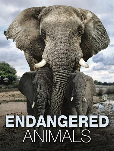 Endangered Animals