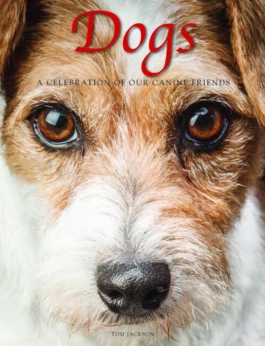 Dogs: A Celebration of our Canine Friends (Animals)